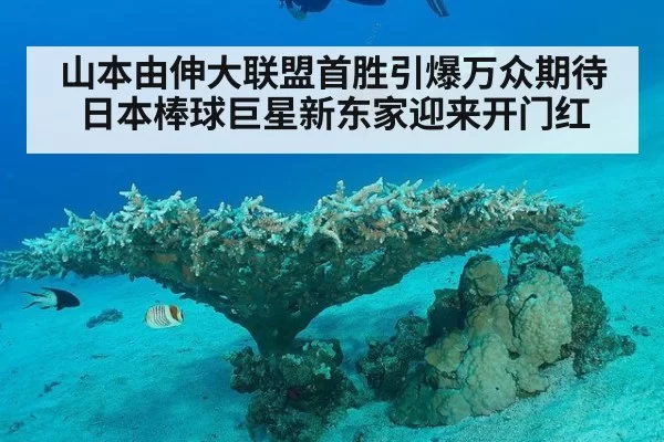 山本由伸大联盟首胜引爆万众期待日本棒球巨星新东家迎来开门红